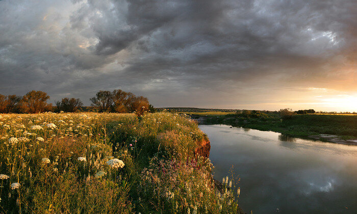 Yandex.ru