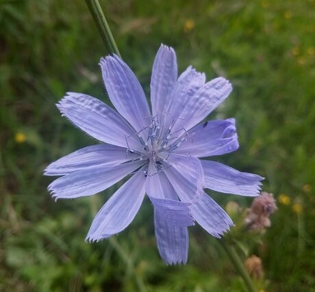 Это — «непосредственная реальность». Если абстрагироваться от того, что это картинка