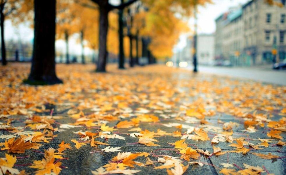 Фото — fotocdn.net