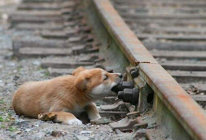 Фотография взята из свободного источника