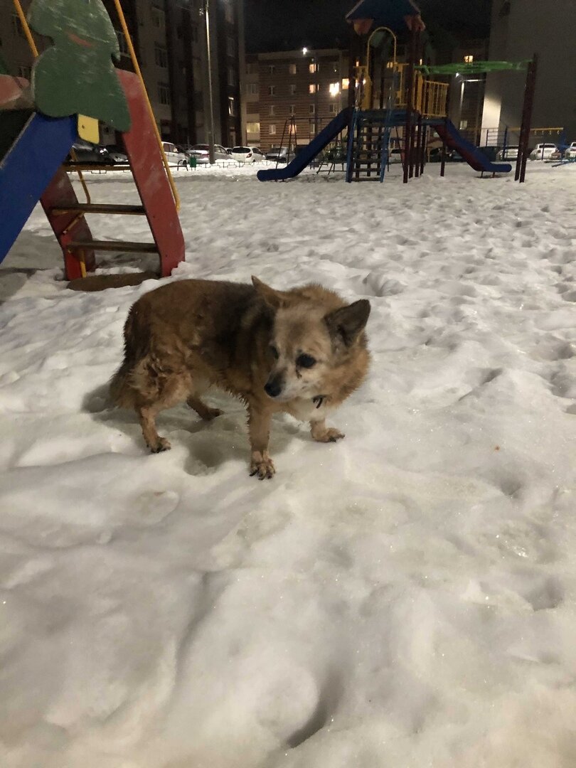 Лейсан во дворе на детской площадке