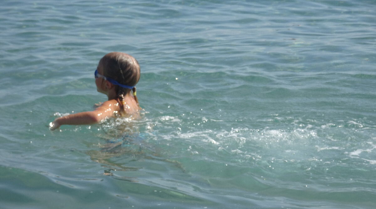 Красное море. Фото автора.