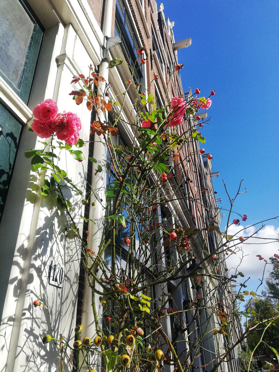 Кризис становится все более ощутимым с каждым днем