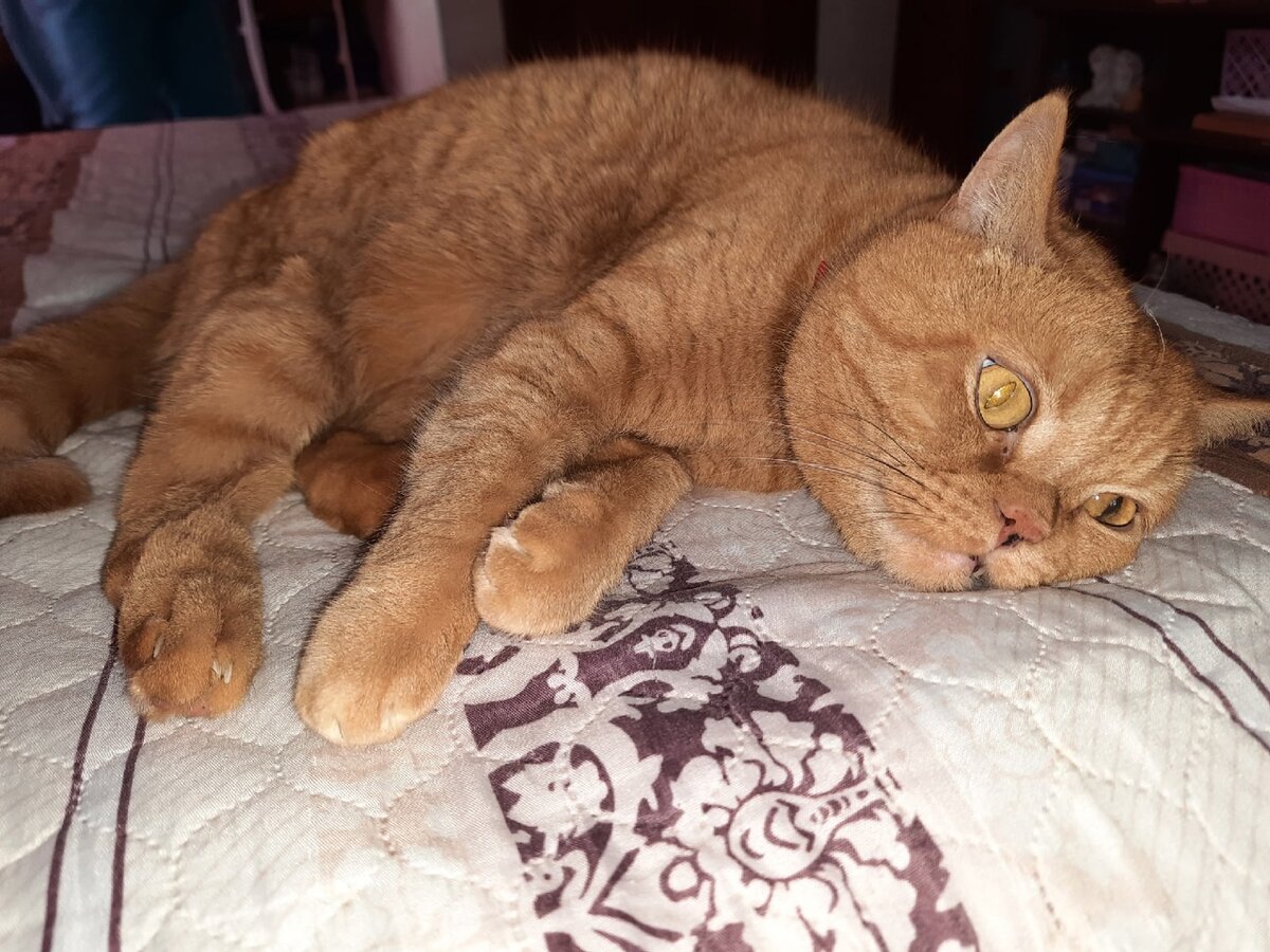 иллюстрация из яндекс картинки.