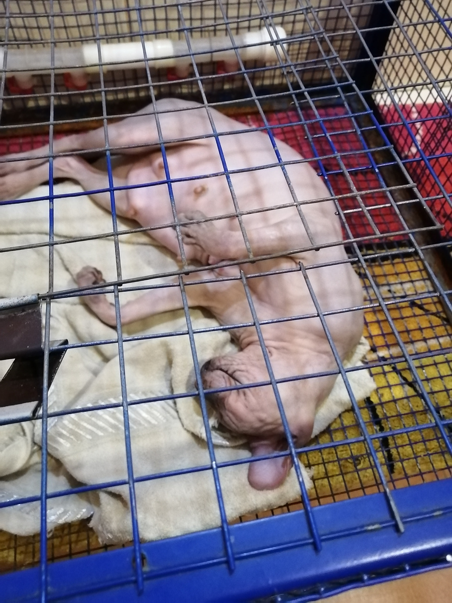 Ися спит, я так испугалась, думала, что померла. 