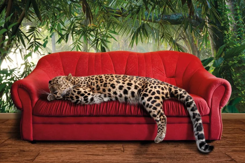 Ленивая лошадь