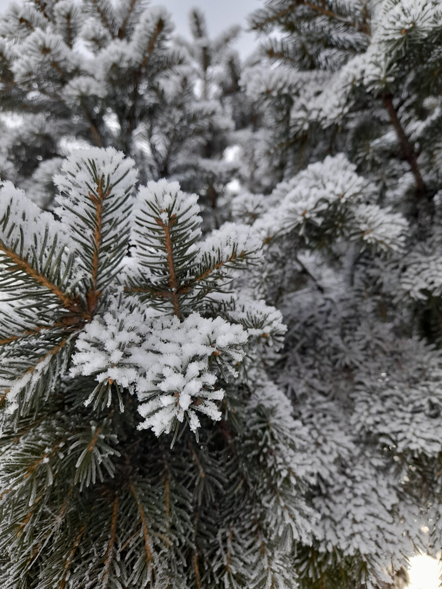 Фото автора. 