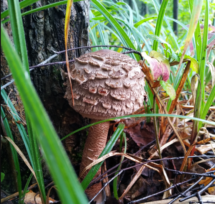 Автор фото Игорь Новиков