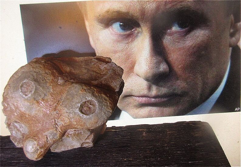 Сходство очевидно!