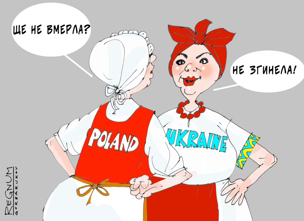 Украина против поляков. Поляки карикатура. Польша карикатура. Поляки и украинцы карикатура. Польские карикатуры на украинцев.