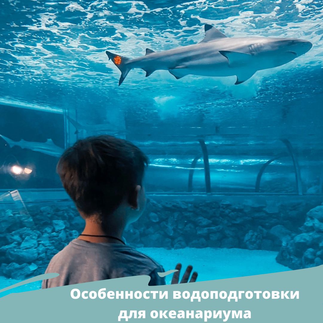 Водоподготовка для океанариума предполагает оптимизацию химического состава и других параметров воды, которые оказывают огромное влияние на жизнедеятельность обитателей бассейна. Вода, поставляемая в океанариумы, должна отвечать определенным требованиям.
Качество воды определяется исходя из таких показателей, как уровень кислотности и жесткости.
Кислотность при водоподготовке
Кислотность водопроводной воды имеет нейтральное значение, ее показатель равен 7. Для подавляющего большинства видов рыб и млекопитающих, которые живут в океанариуме, такой показатель нормален. При слабой кислотности воды рыбы «замирают» в одном положении.

Решения «ПРОМФИЛЬТР» для очистки бассейнов: В течение всего дня кислотность воды меняется. Как правило, ее показатели ниже в утренние часы из-за высокого содержания углекислого газа, накопленного за ночь. Ближе к вечеру кислотность повышается, поскольку за день водоросли активно поглощают углекислый газ.
Повысить уровень кислотности можно за счет круглосуточной аэрации воды или добавления питьевой соды, а понизить – при помощи размещения в океанариуме различных декоративных элементов, содержащих кальций, – ракушек, кораллов и прочих.

Жесткость при водоподготовке
Уровень жесткости воды не менее важен, чем кислотность. Он определяется по наличию ионов магния и кальция в воде. В заселенном океанариуме вода значительно мягче, поскольку растворенный кальций усваивается его обитателями. Кальциевые и магниевые соли необходимы для формирования костей у рыб, а также отвечают за твердость панциря и раковины у моллюсков и ракообразных. Поэтому в любых аквариумах, где содержатся моллюски и раки, уровень жесткости воды в процессе водоподготовки постепенно снижается.
Повышенная жесткость воды оказывает негативное воздействие на океанариумных обитателей. Для того чтобы снизить этот показатель, применяется дистиллирование. Смягчению воды также способствуют и некоторые морские растения. Для повышения жесткости в воду добавляют известняк, мрамор, мел, коралловую крошку, раковины рапанов и другие компоненты. Стабилизировать этот показатель можно путем засыпания дна океанариума галькой или крупнозернистым песком вместо грунта.
Водоподготовка для океанариума также предполагает регулирование таких параметров, как проводимость, окислительный потенциал, уровень кислорода и углекислого газа, содержание тяжелых металлов, температурные показатели, ведь они также оказывают влияние на качество водной среды. Стабильность этих параметров очень важна, поскольку их резкие колебания серьезно сказываются на здоровье рыб и млекопитающих океанариума.

Система жизнеобеспечения океанариума
В состав системы жизнеобеспечения океанариума входят следующие инструменты водоподготовки и водоочистки:
* 		система подготовки пресной воды. В нее включены фильтры механической очистки, ионообменные, сорбционные фильтры, установки обратного осмоса, нано- и ультрафильтрации;
* 		система подготовки соленой морской воды, включающая резервуары для ее запаса и смешения соли;
* 		система фильтрации;
* 		локальные системы жизнеобеспечения.
Важные моменты в процессе водоподготовки
В любом морском океанариуме необходимо установить специальный прибор пенник или скиммер. Он вспенивает соленую воду, и загрязнения, скапливающиеся в ней, вместе с пеной собираются в отдельной емкости, в то время как очищенная и насыщенная кислородом вода поступает обратно в аквариум.
Поскольку водопроводная вода находится под высоким давлением, уровень кислорода в ней значительно выше. Когда она поступает в океанариум, на его стенках собирается множество пузырьков. В такую воду запускать рыб и млекопитающих нельзя, поскольку у них может случиться закупорка сосудов.
Вода является средой жизнедеятельности рыб и других обитателей соленых и пресных водоемов, поэтому водоподготовка для океанариума должна проводиться качественно и основательно.
#очистка воды #фильтрацияводы #фильтр для воды #водоподготовка #системы очистки воды #чистаявода #океанариум 