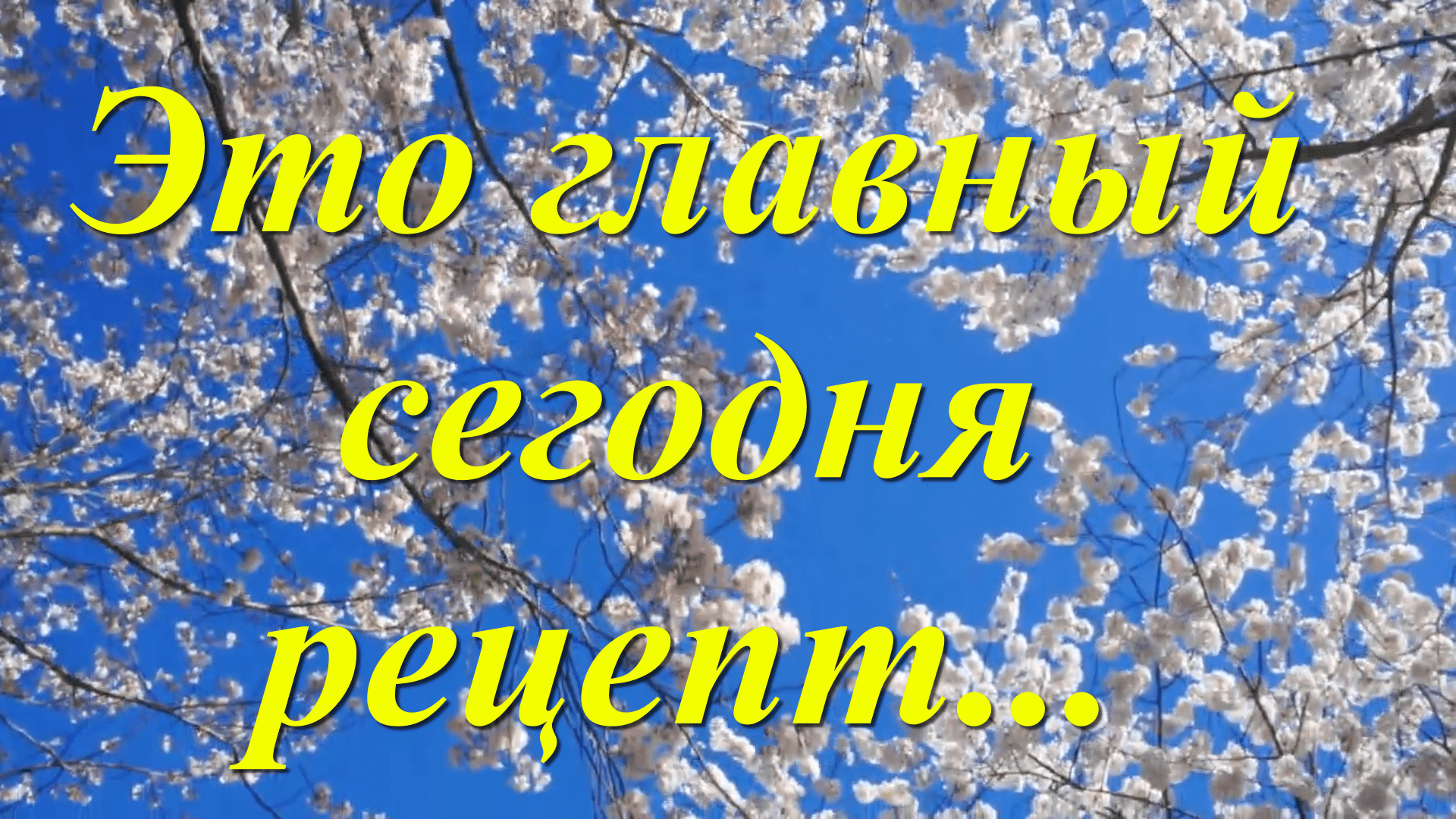 Это главный сегодня рецепт...Ирина Самарина-Лабиринт (Читает Татьяна  Кудряшова)