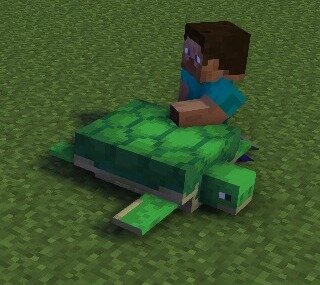 изображение мое