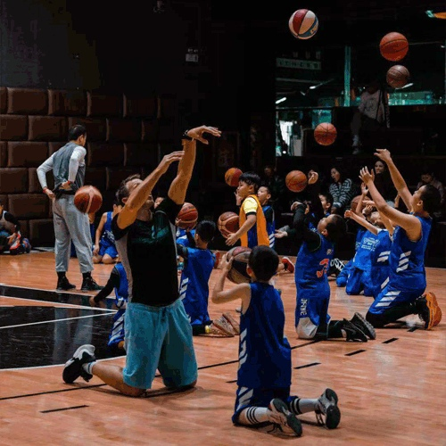 Использованы материалы с сайта https://www.ganonbakerbasketball.com/