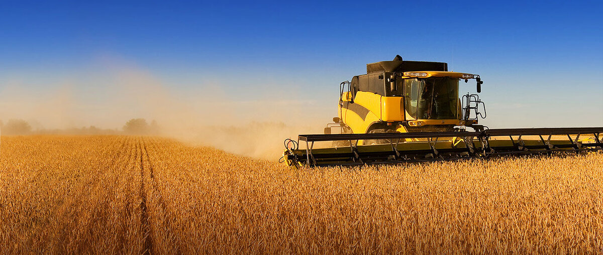 Мониторинг в аграрной сфере