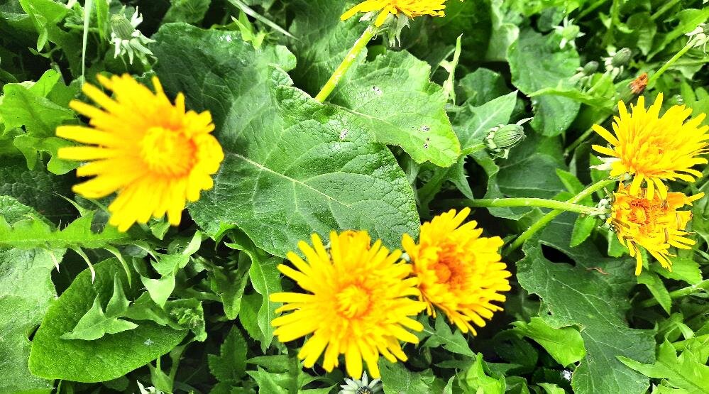 мой мир, что хочу, то и праздную 