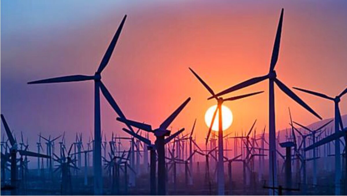 Фото: acelerex.com