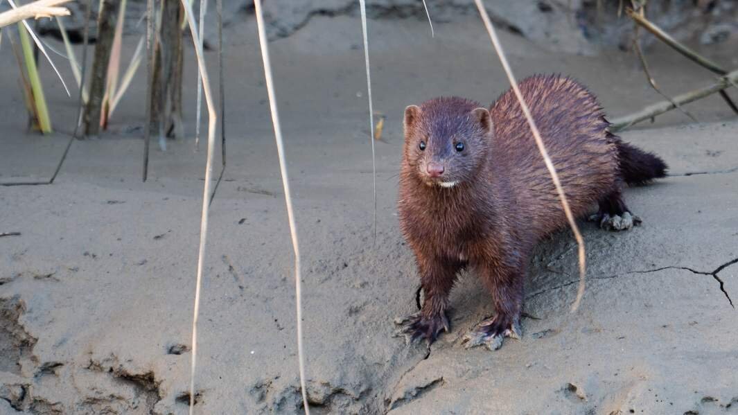 Фото: Global Look press/Kit Macavoy