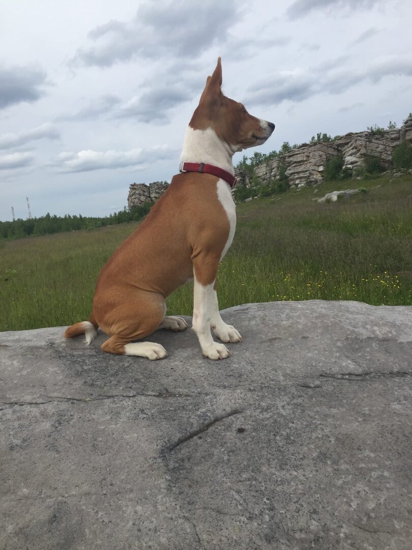 Месси. Фото автора