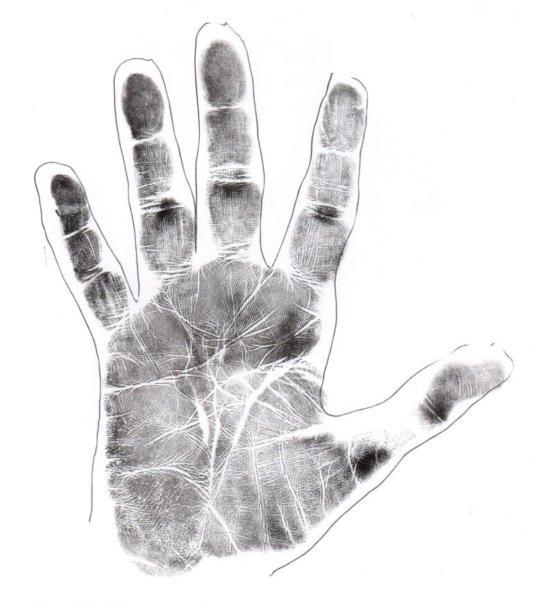 Левая рука Брамина