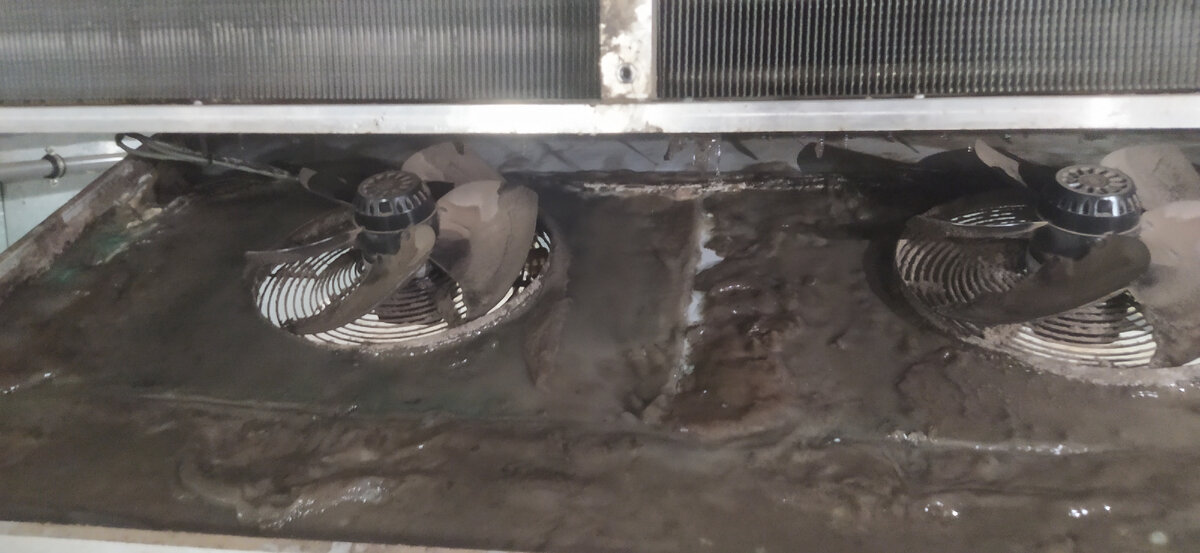 Пыльца с водой делает своё дело.