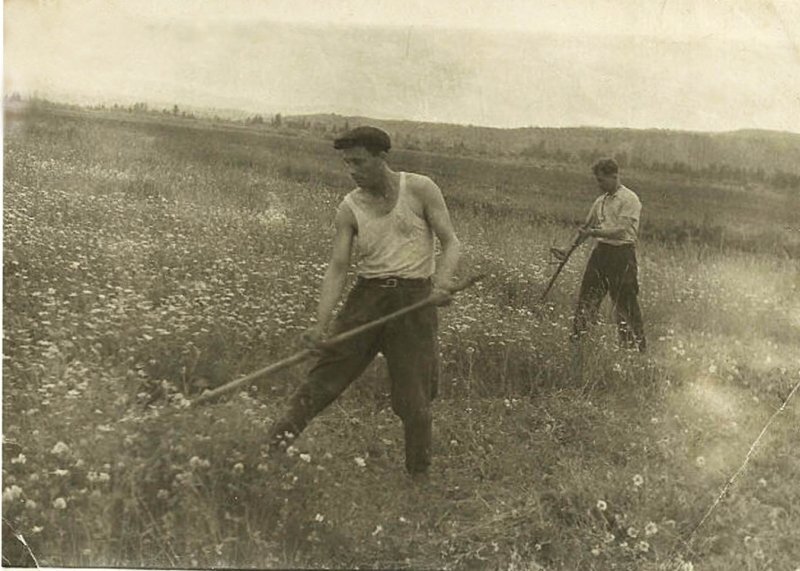 Косари. Фото в открытом доступе.