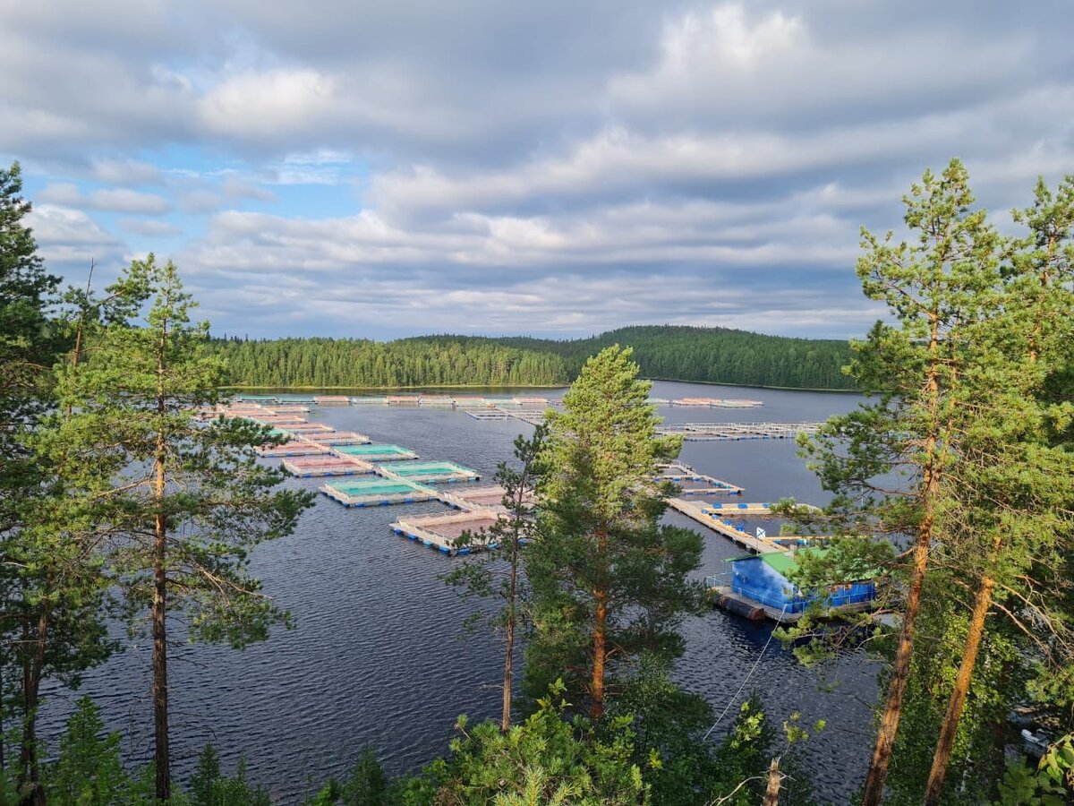 Озеро Чупа Карелия