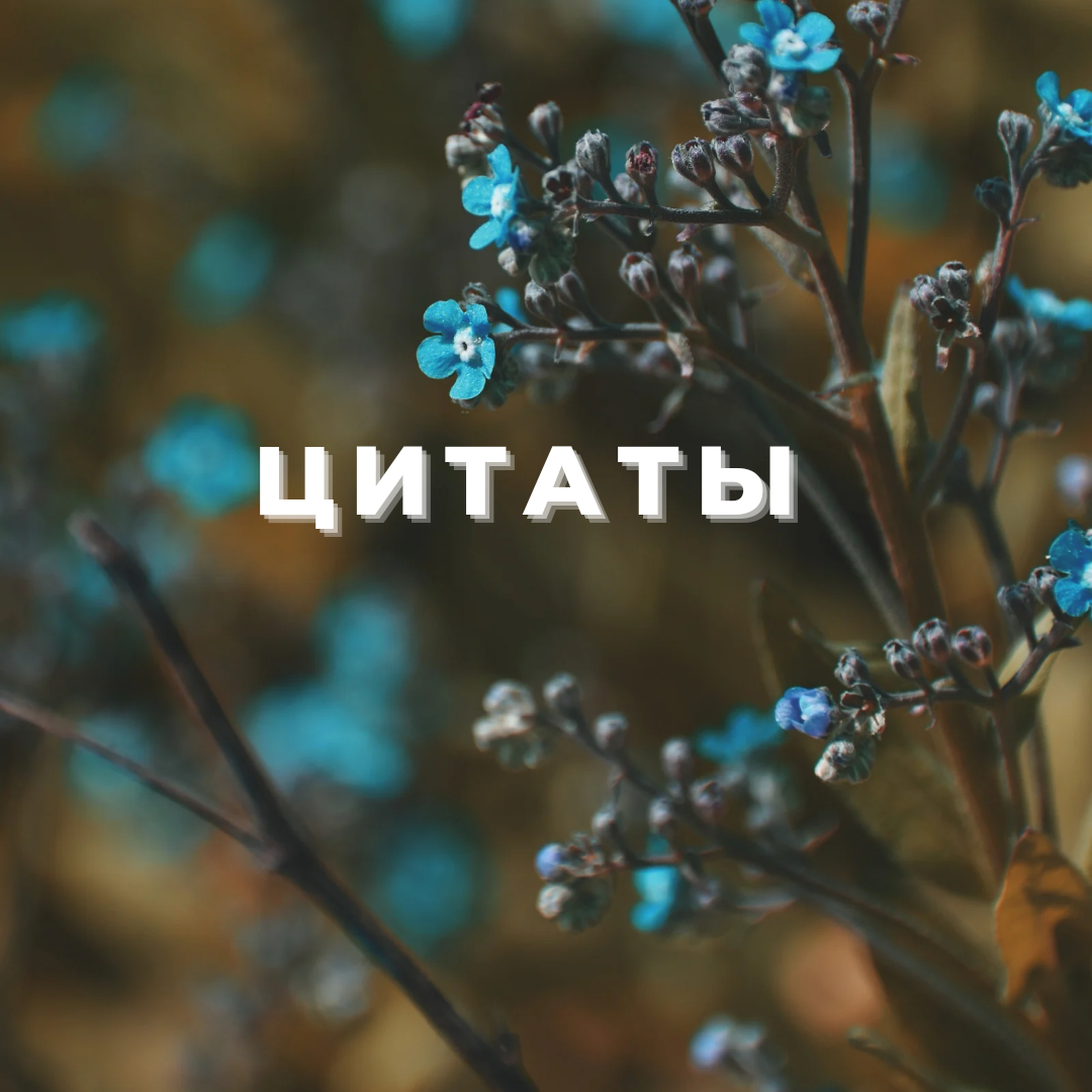 https://vk.com/readashb2k?w=wall-211300900_8427