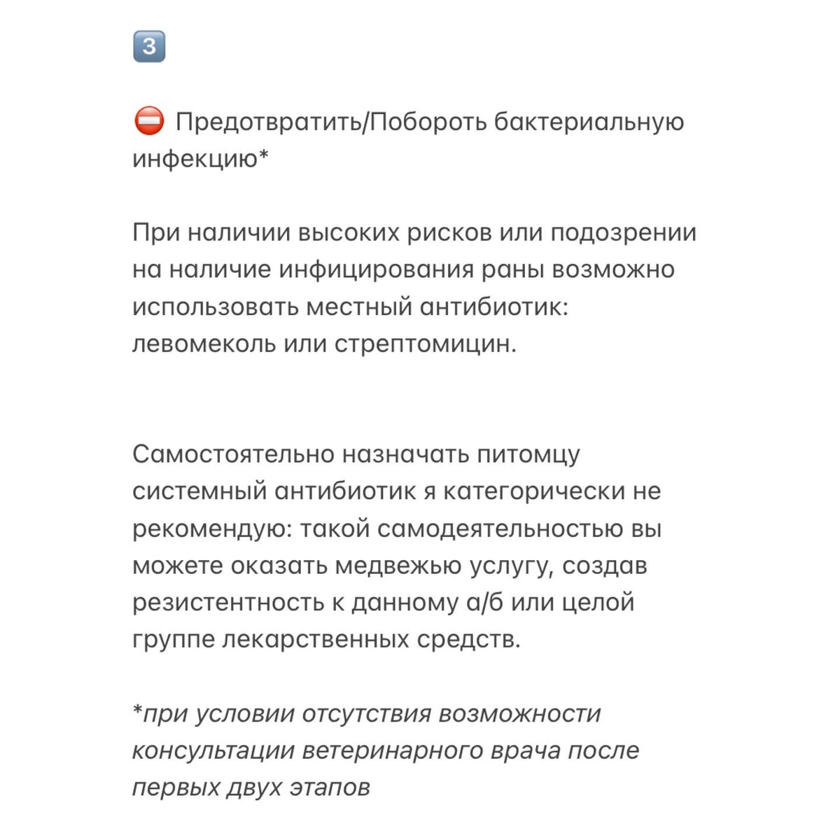 Заживет как на собаке»… или нет? Как обработать рану животному. |  justmurka🐈‍⬛ | Дзен