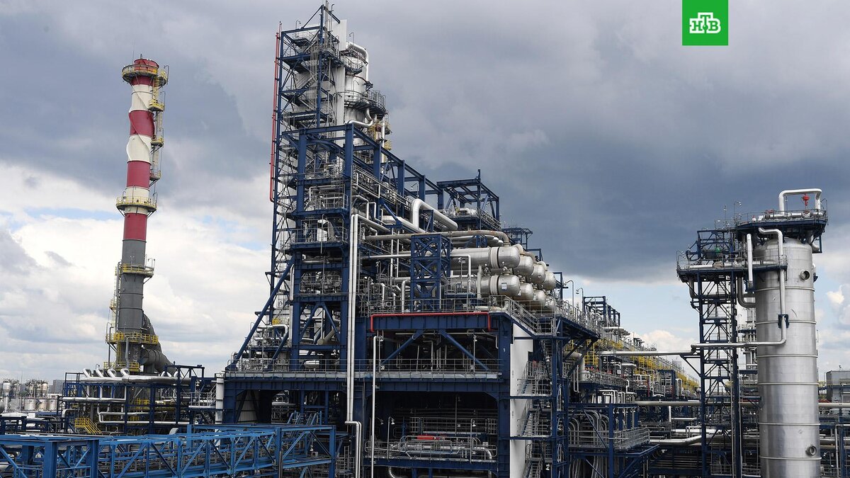    Фото: РИА Новости © 2022, Алексей Майшев