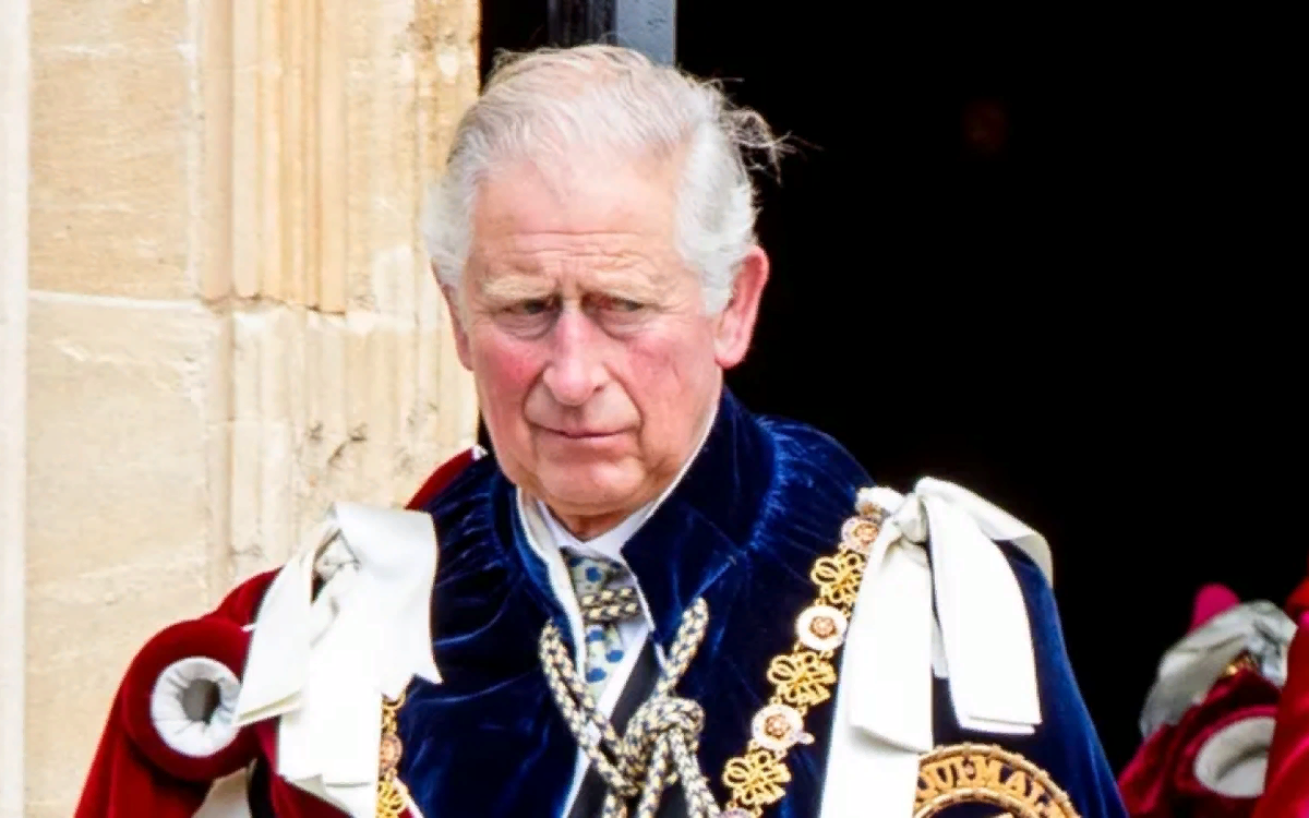 яндекс картинки