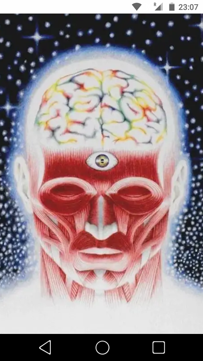 фото Суммарное поле сознания зависит от частоты сознания