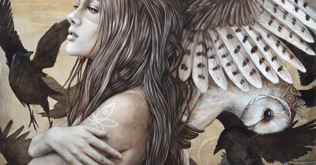 Совы немедленно окружили меня, убаюкивая своим успокаивающим присутствием, умело расставляя акценты в паутине  мгновений настоящего