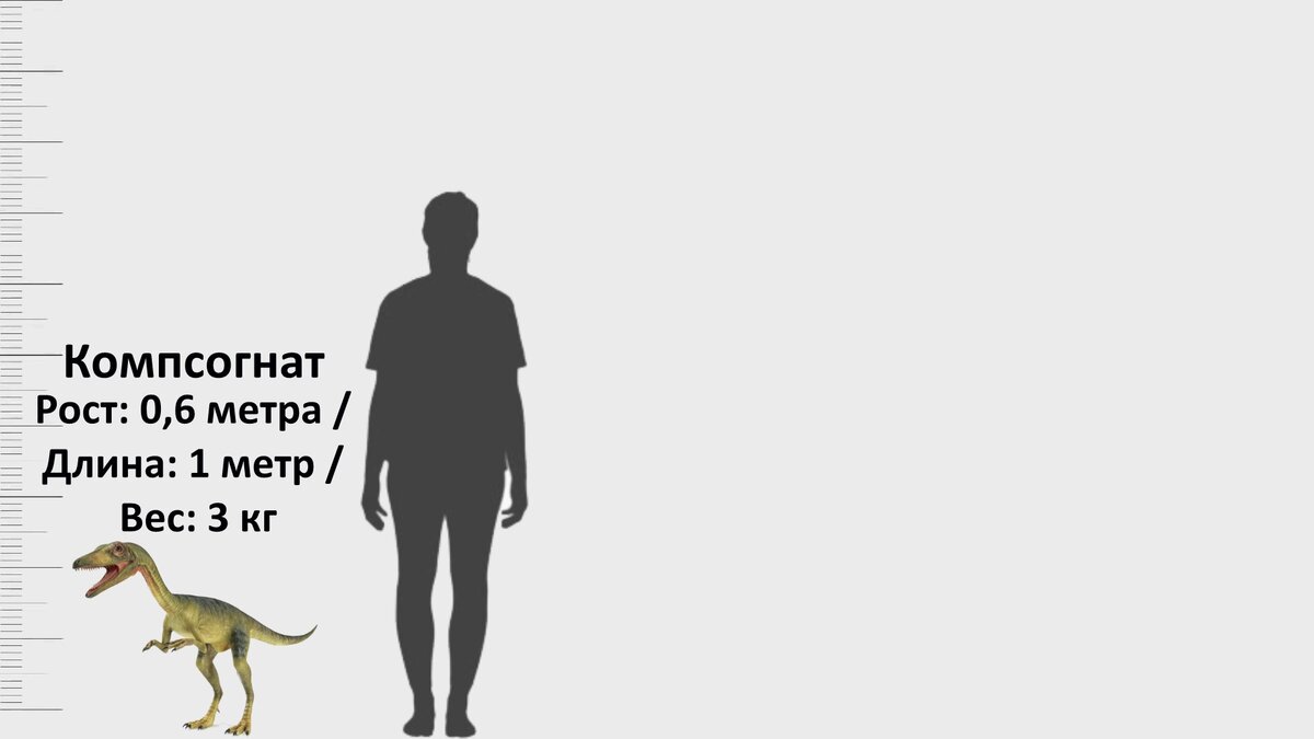 Сравнение всех динозавров из Мира и Парка Юрского периода