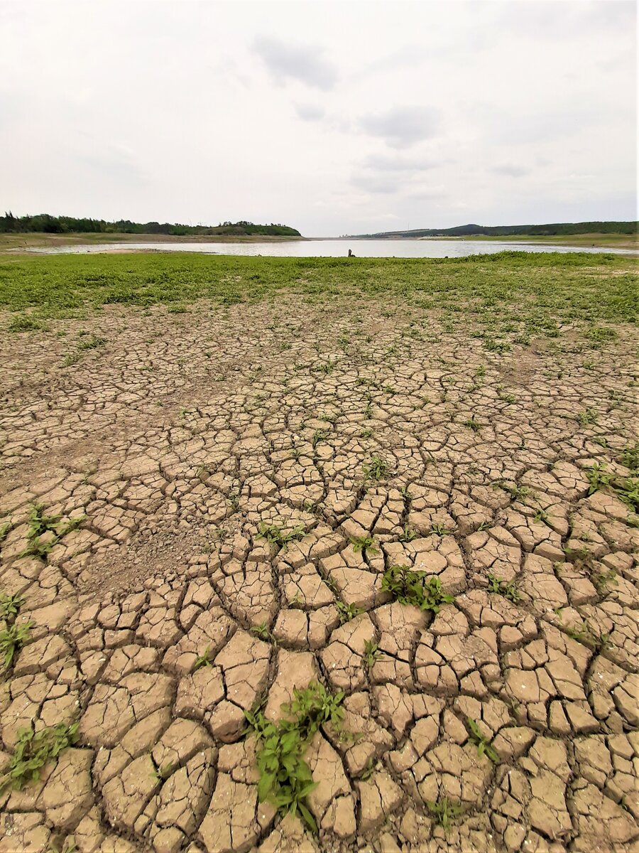 Симферопольское водохранилище, июнь 2020
