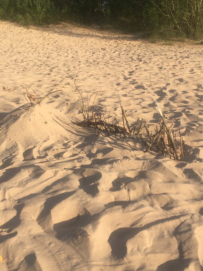 Частокол на пляже. Пока без замка