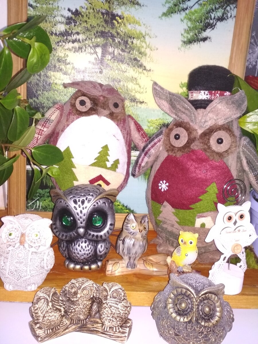 Личный архив (Небольшая коллекция совушек)