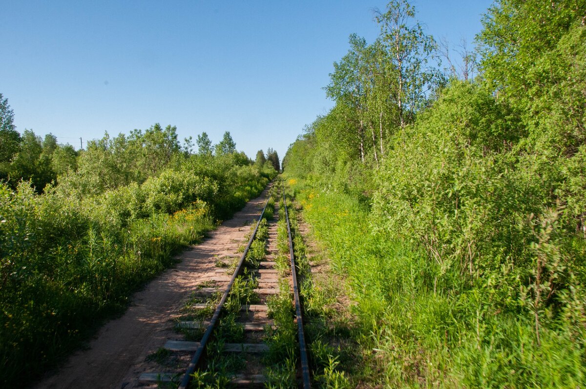 Мшинская Церковь фото