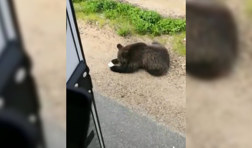 Кадры из видео: Instagram @rybalkasakhalin