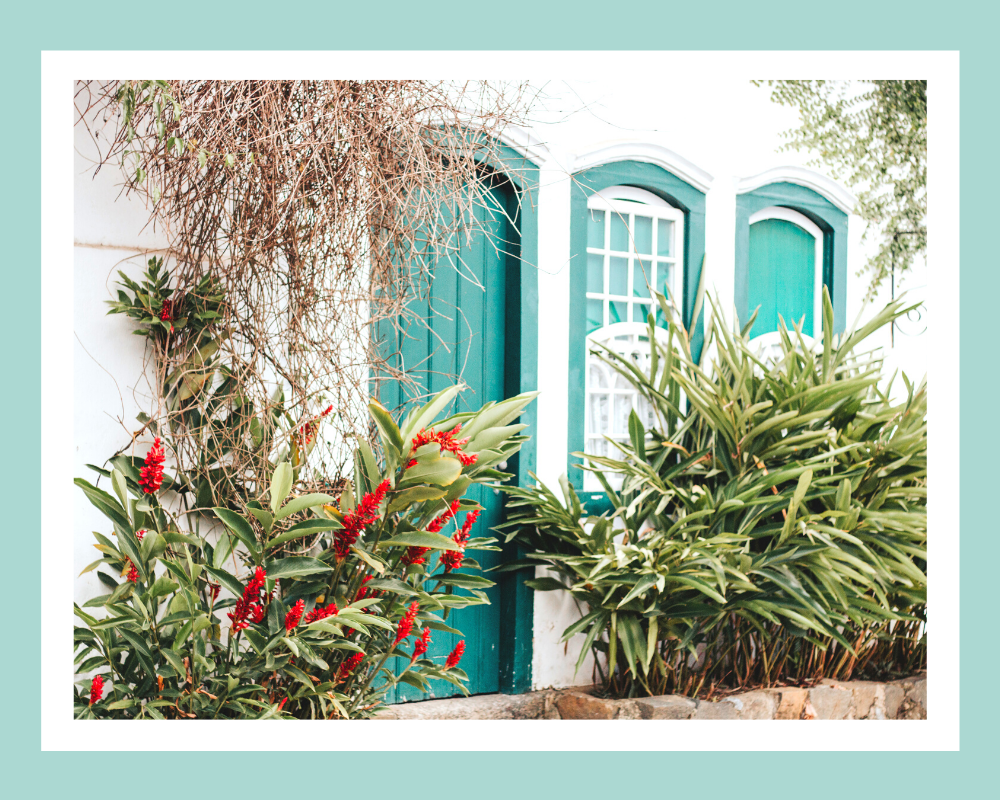Фото: canva.com