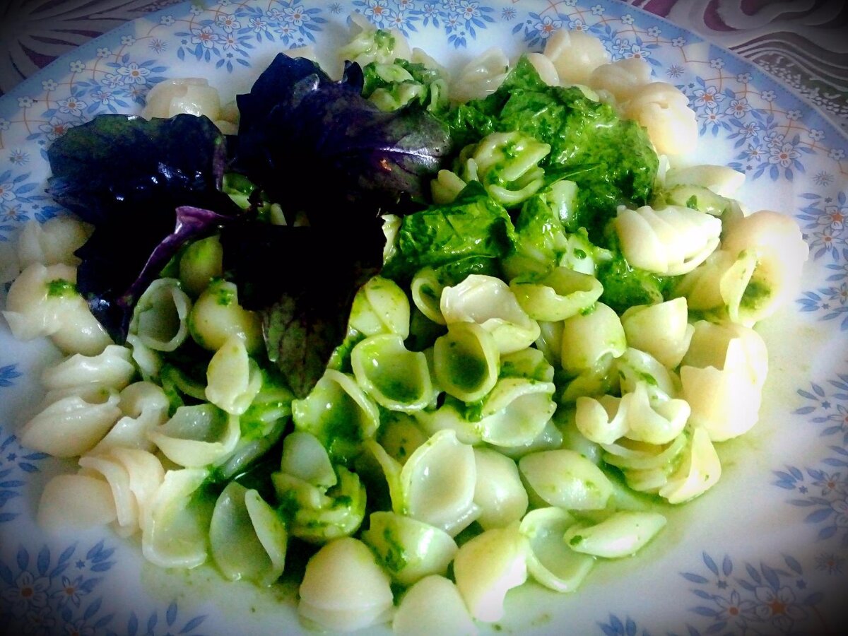 Конильони с зеленым соусом из шпината и базелика