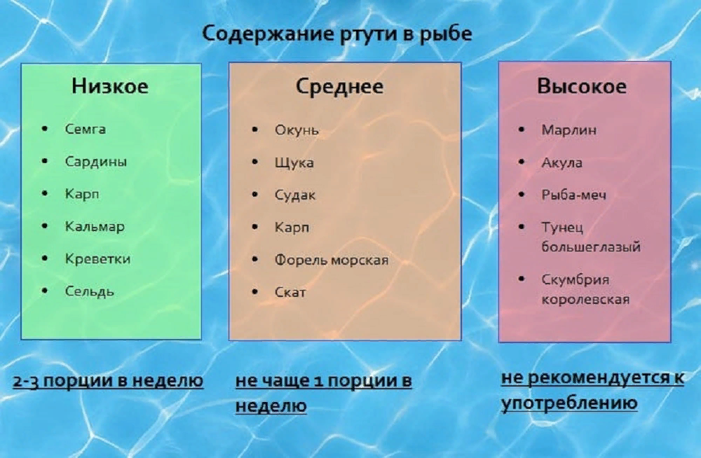 Было есть будет содержание. В какой рыбе содержится ртуть. Содержание ртути в рыбе. Рыба содержащая ртуть. Какая рыба содержит ртуть