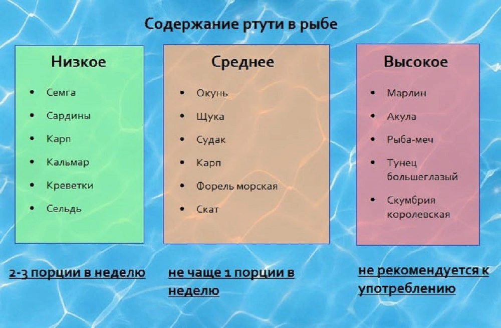 Тунец ртуть. Продукты содержащие ртуть. Содержание ртути в рыбе. Рыба по содержанию ртути таблица. Рыба с большим содержанием ртути.