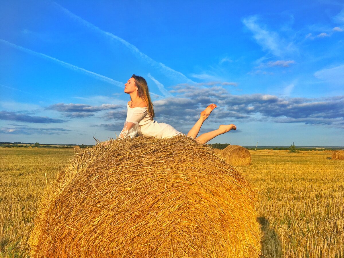 Сена 2016. Поля подсолнухов Италии стога сена. Фотосессия с тюками сена. Фотосессия с тюками сена в поле. Поле с тюками сена.