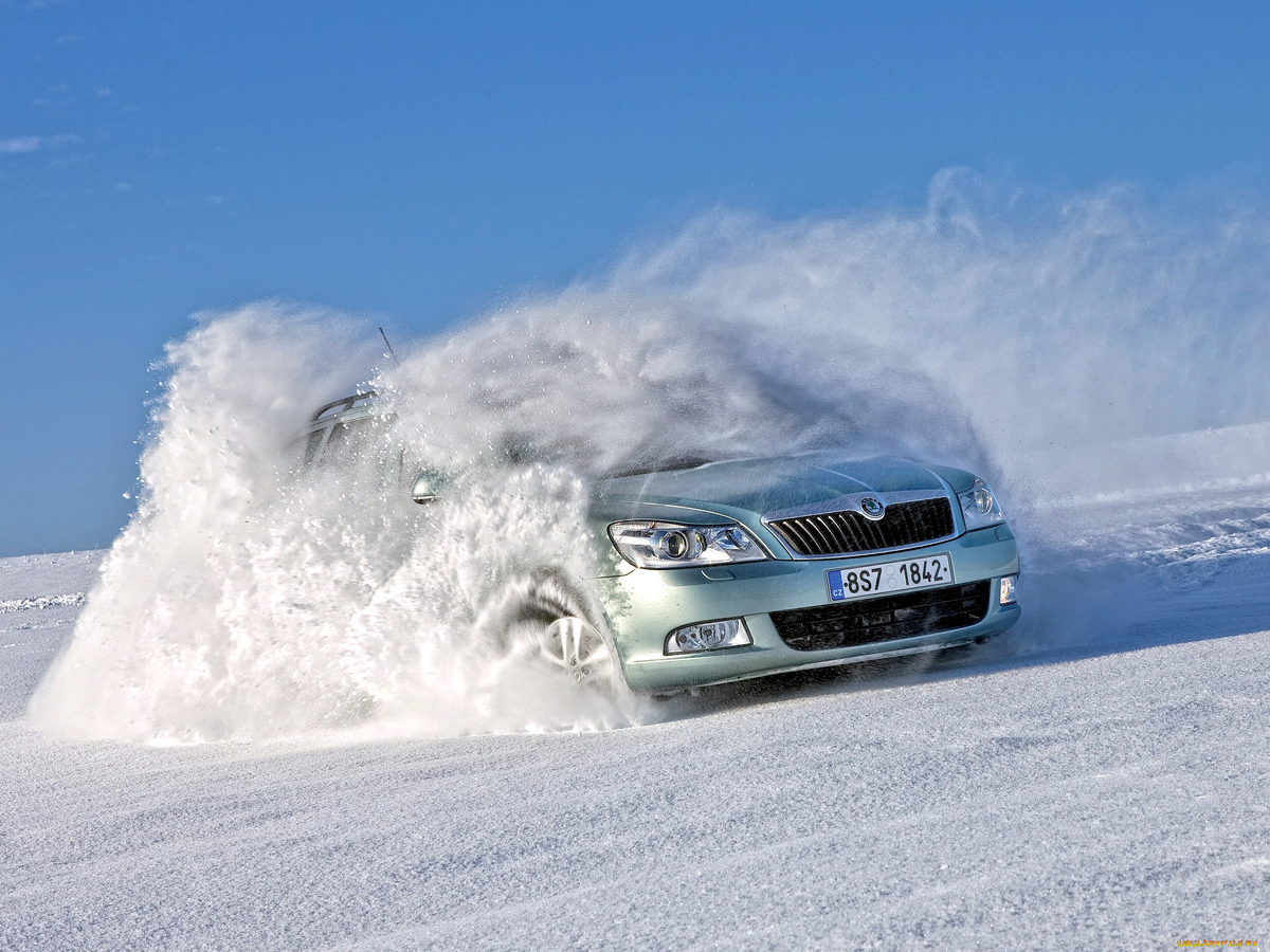 Яндекс картинки