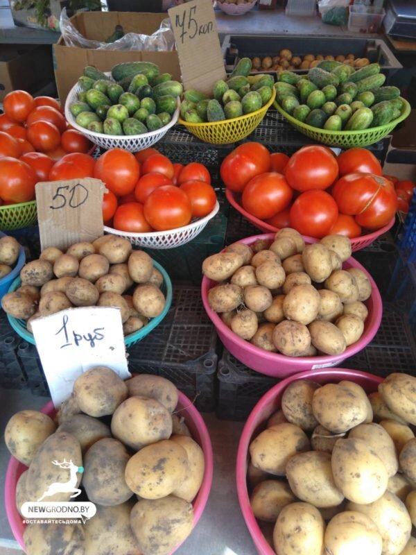 Цены на овощи 2024. Домодедовский рынок отдел овощи. Великовечное Краснодарский край оптовый рынок. Рынок воощей и фруктов в зуньчуне возле оленьей горы.