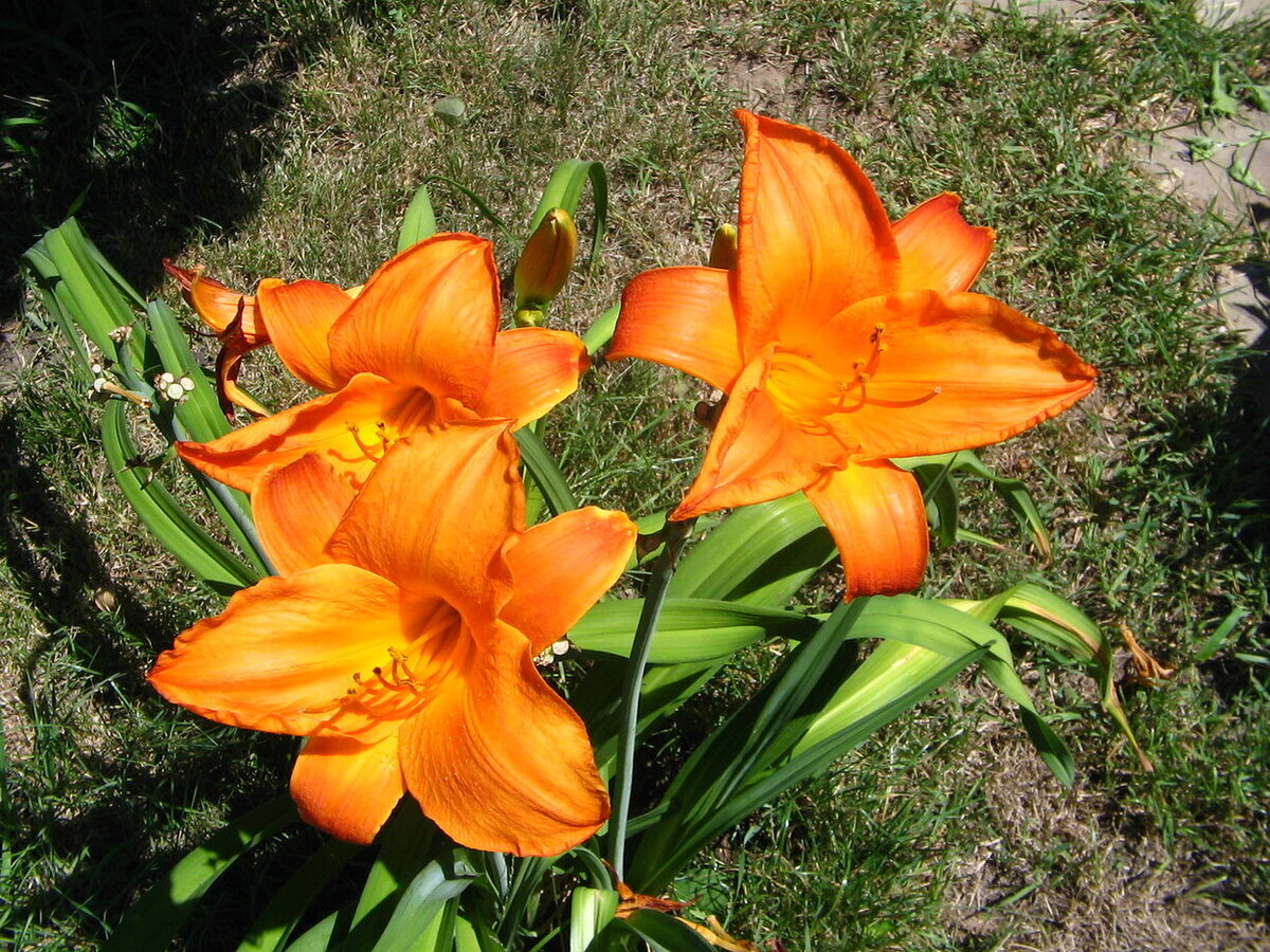 фото из личного архива