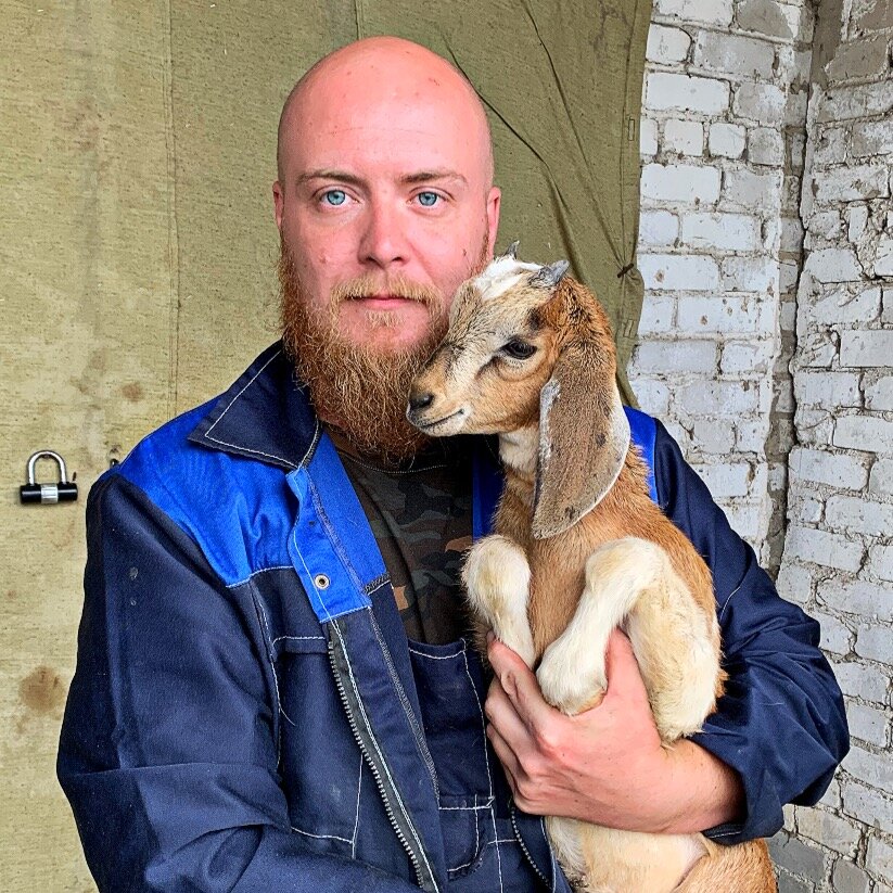 Нубийский козлик