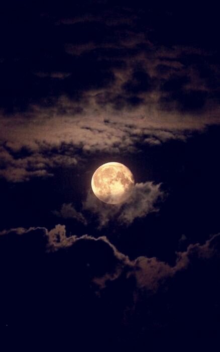 источник фото:  Pinterest