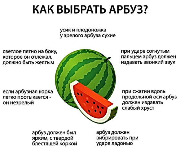 Источник: Яндекс картинки